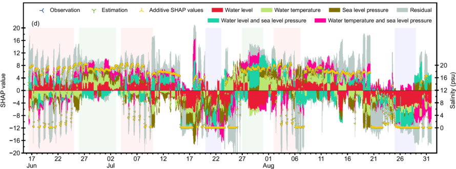 SHAP analysis results for salinity prediction