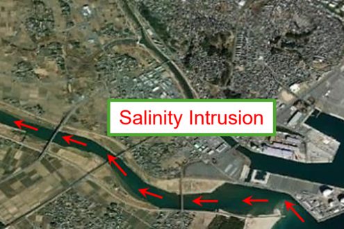 Schematic diagram of saltwater intrusion in the Kuji River